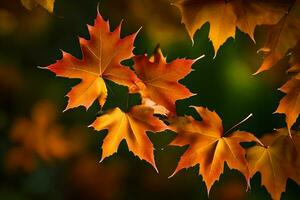 photo wallpaper leaves, the autumn, autumn, leaves, the leaves, autumn, autumn leaves,. AI-Generated