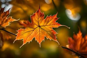 autumn leaves, autumn, autumn leaves, autumn leaves, autumn leaves, autumn leaves, autumn. AI-Generated photo