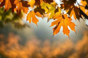 otoño hojas son mostrado en el luz de sol. generado por ai foto