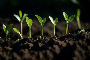 a group of young plants growing in the dirt. AI-Generated photo