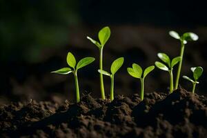 a group of young plants growing in the dirt. AI-Generated photo