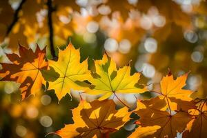 otoño hojas en un árbol. generado por ai foto