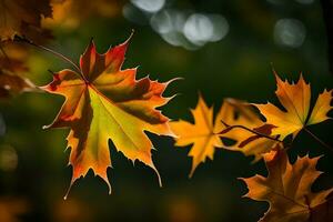 otoño hojas, otoño, otoño hojas, otoño hojas, otoño hojas, otoño hojas, otoño. generado por ai foto