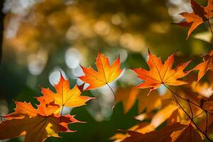 otoño hojas en el luz de sol. generado por ai foto