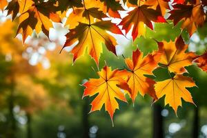 otoño hojas son mostrado en el antecedentes. generado por ai foto