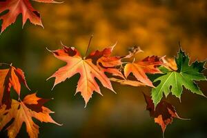 autumn leaves, autumn, autumn leaves, autumn leaves, autumn leaves, autumn leaves, autumn. AI-Generated photo