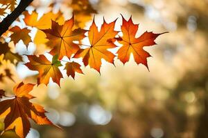 autumn leaves are shown in this photo. AI-Generated photo