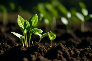 a close up of young plants growing in the dirt. AI-Generated photo