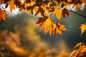 autumn leaves are shown in the sunlight. AI-Generated photo
