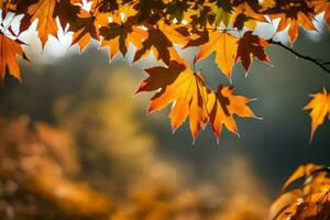 otoño hojas son mostrado en el luz de sol. generado por ai foto