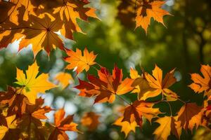 otoño hojas en el luz de sol. generado por ai foto