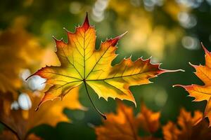 two maple leaves are shown in the sunlight. AI-Generated photo