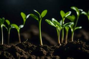 un grupo de joven plantas creciente en el suciedad. generado por ai foto