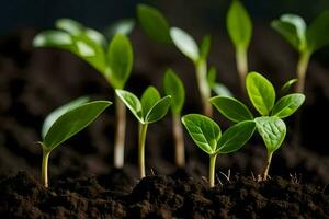 young plants sprouting from the soil. AI-Generated photo