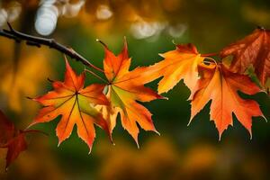 autumn leaves, autumn, autumn leaves, autumn leaves, autumn leaves, autumn leaves, autumn. AI-Generated photo