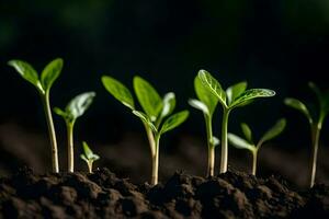 young plants sprouting from the soil. AI-Generated photo