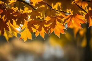 autumn leaves are shown in the sunlight. AI-Generated photo