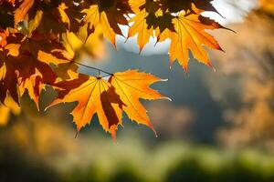 autumn leaves are shown in the sunlight. AI-Generated photo