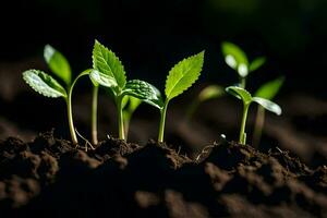 young plants sprouting from the soil. AI-Generated photo