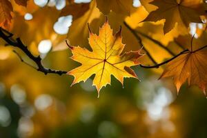 otoño hojas en un árbol. generado por ai foto