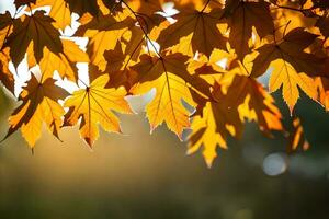 autumn leaves are shown in the sun. AI-Generated photo