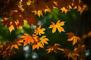 autumn leaves are shown in the sunlight. AI-Generated photo