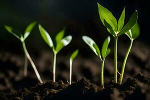 young plants sprouting from the soil. AI-Generated photo