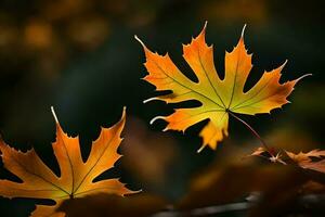 two leaves are shown in the dark with yellow and orange leaves. AI-Generated photo