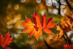 autumn leaves are shown in the sunlight. AI-Generated photo