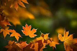 photo wallpaper leaves, the leaves, autumn, the leaves, the leaves, autumn, the leaves. AI-Generated