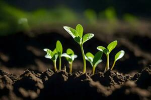 a close up of young plants growing in the dirt. AI-Generated photo