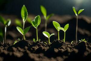 a group of young plants growing in the dirt. AI-Generated photo