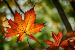 autumn leaves, autumn, autumn leaves, autumn leaves, autumn leaves, autumn leaves, autumn. AI-Generated photo