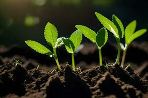 un grupo de joven plantas creciente en el suciedad. generado por ai foto