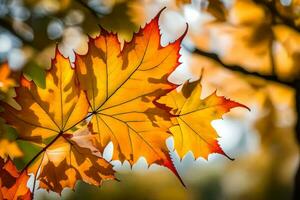 autumn leaves, autumn, autumn leaves, autumn leaves, autumn leaves, autumn leaves, autumn. AI-Generated photo