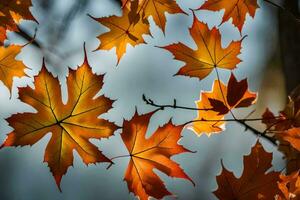 autumn leaves are shown in this photo. AI-Generated photo