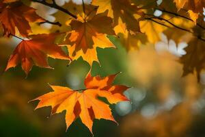 autumn leaves are shown in this photo. AI-Generated photo