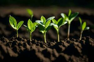 young plants sprouting from the soil. AI-Generated photo