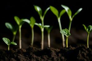 un grupo de joven plantas creciente en el suelo. generado por ai foto