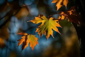 autumn leaves on a tree. AI-Generated photo