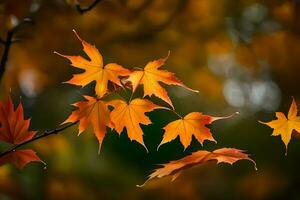 autumn leaves, autumn, autumn leaves, autumn leaves, autumn leaves, autumn leaves, autumn. AI-Generated photo