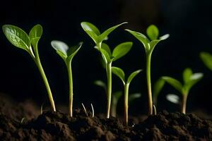 un grupo de joven plantas creciente en el suelo. generado por ai foto