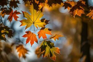 autumn leaves are shown in this photo. AI-Generated photo