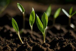 a close up of young plants growing in the dirt. AI-Generated photo