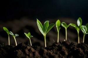 un grupo de joven plantas creciente en el suelo. generado por ai foto