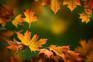 autumn leaves are shown in this photo. AI-Generated photo