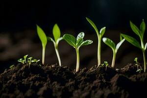 a group of young plants growing in the dirt. AI-Generated photo