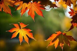 otoño hojas son visto en el aire. generado por ai foto