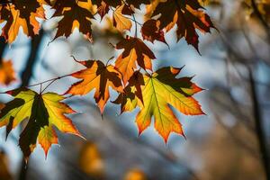 otoño hojas son mostrado en el luz de sol. generado por ai foto