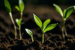 un grupo de joven plantas creciente en el suciedad. generado por ai foto